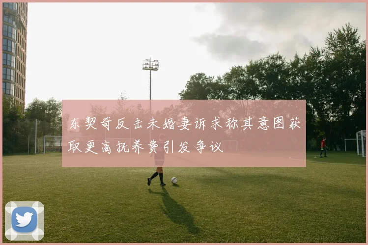 东契奇反击未婚妻诉求称其意图获取更高抚养费引发争议