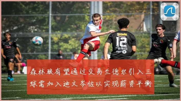 森林狼有望通过交易兰德尔引入三球需加入迪文岑佐以实现薪资平衡